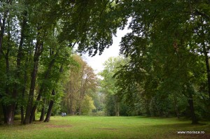 Palatul Ghyka Dofteana judetul Bacau 