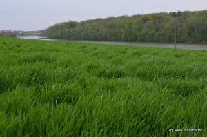 Bucuresti_Manastirea_Pasarea_vedere_catre_lac
