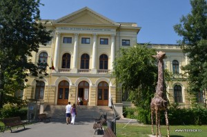 Muzeul National de Istorie Naturala Grigore Antipa Bucuresti