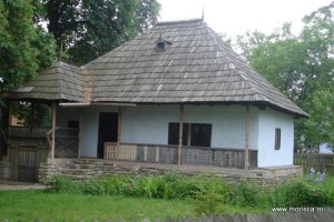 Bucuresti_Muzeul_Satului (4)