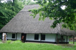 Bucuresti_Muzeul_Satului (8)