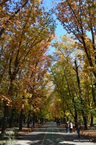 Parcul Herastrau Bucuresti toamna