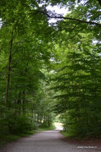 gradina palatului Schloss Nymphenburg din Munchen