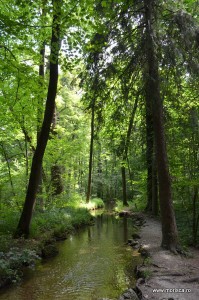 gradina palatului Schloss Nymphenburg din Munchen