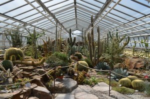 Sere flori gradina botanica Nymphenburg in Munchen 