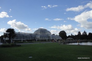 Kew Gardens Gradina Botanica Londra