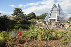 Kew Gardens Gradina Botanica Londra