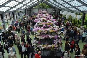 Expozitie de orhidee la Keukenhof, Olanda