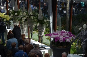 Expozitie de orhidee la Keukenhof, Olanda