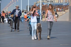 Plaja din Scheveningen (Haga) Olanda