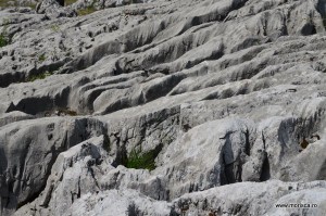 Ponoarele_Campurile_de_lapiezuri (6)