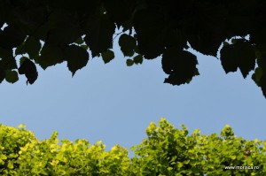Gradinile Palatului Mirabell din Salzburg
