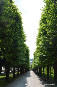 Gradinile Palatului Mirabell din Salzburg
