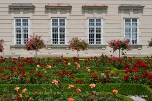 Gradinile Palatului Mirabell din Salzburg