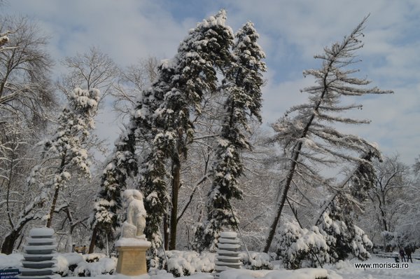 Zapada iarna in Gradina Cismigiu din Bucuresti