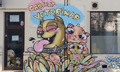Graffitti cabinet veterinar pe Bulevardul Regina Elisabeta din Bucuresti